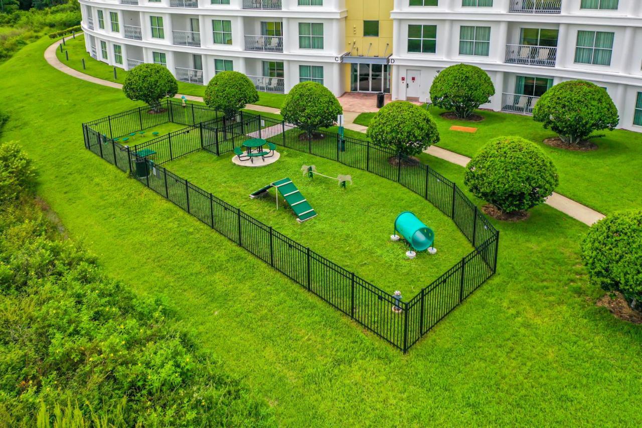 Pet Friendly In Orlando Area Near Disney 셀러브레이션 외부 사진