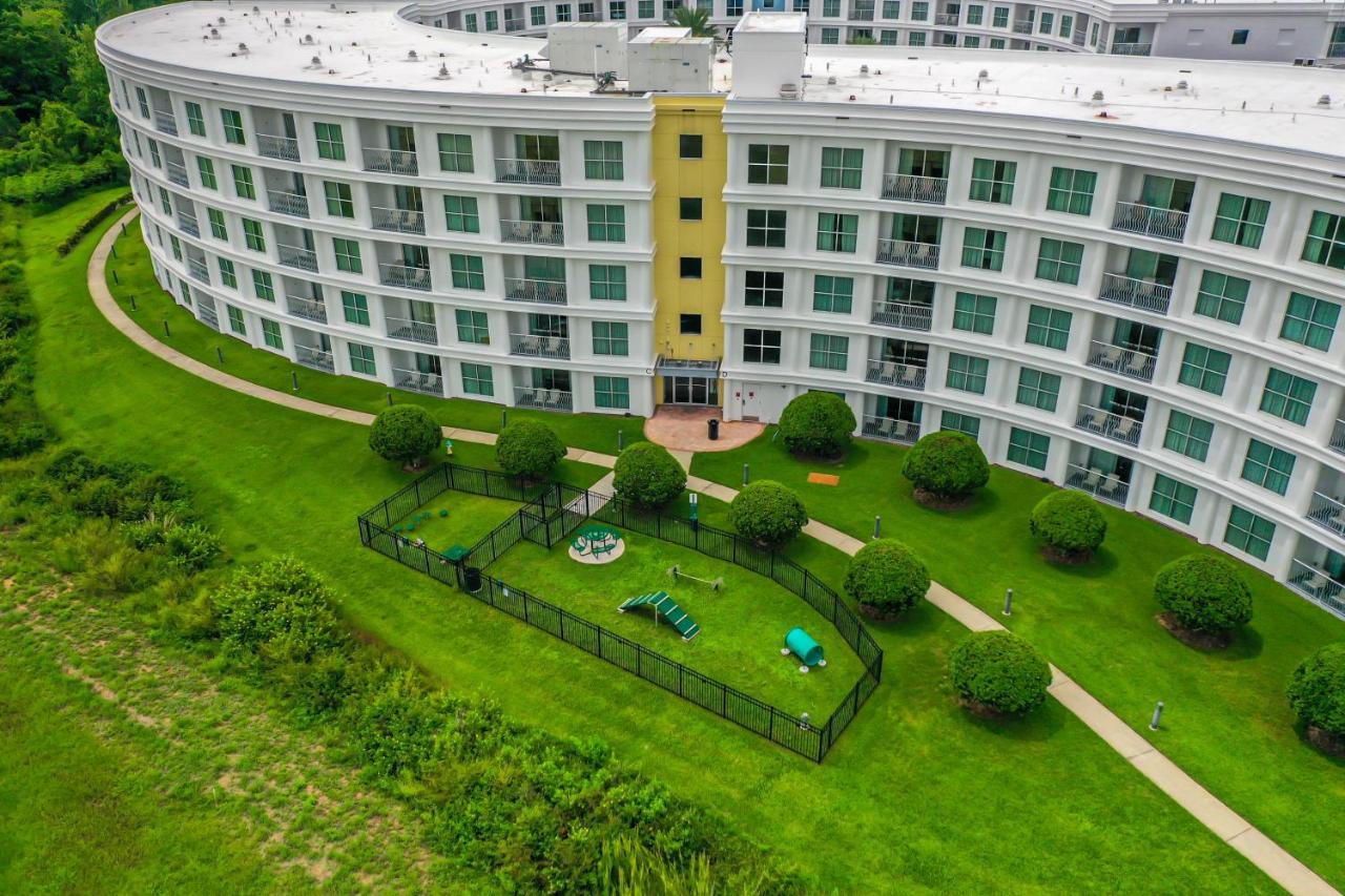 Pet Friendly In Orlando Area Near Disney 셀러브레이션 외부 사진